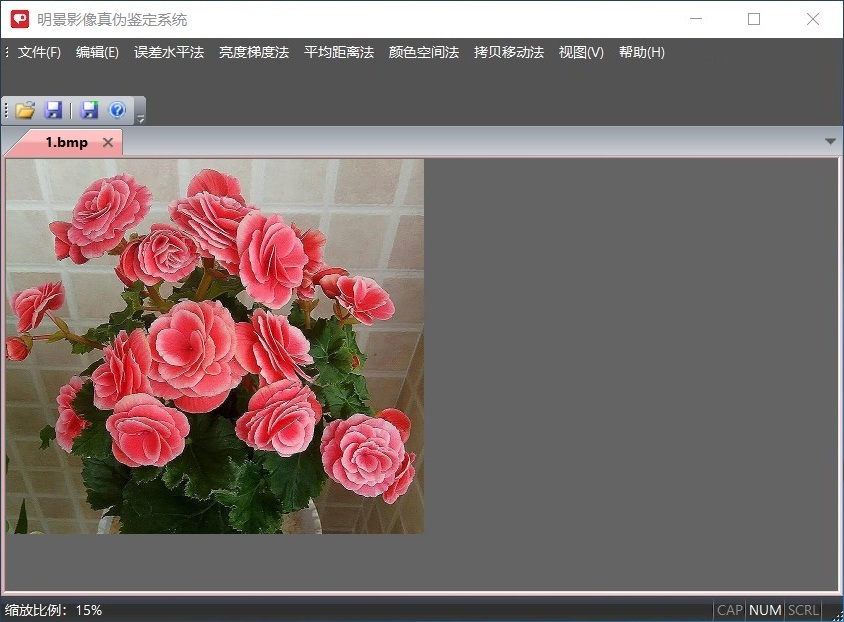 尊龙人生就是博首页影像真伪判断系统