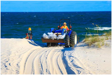 尊龙人生就是博首页影像真伪判断系统